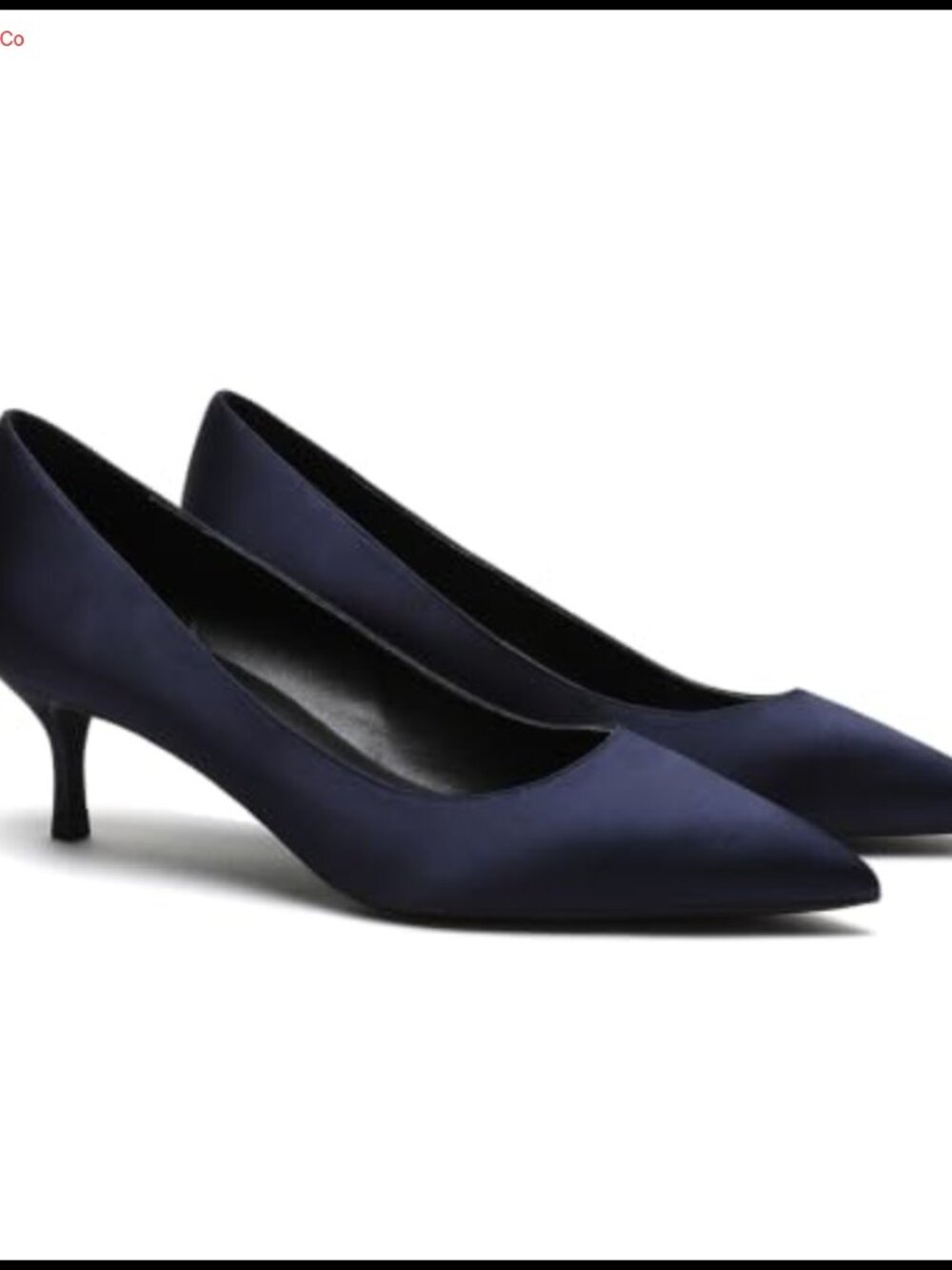 Kitten Heel Pumps Pointed Toe Satin Slip On Dress Shoes for Office Work Wedding